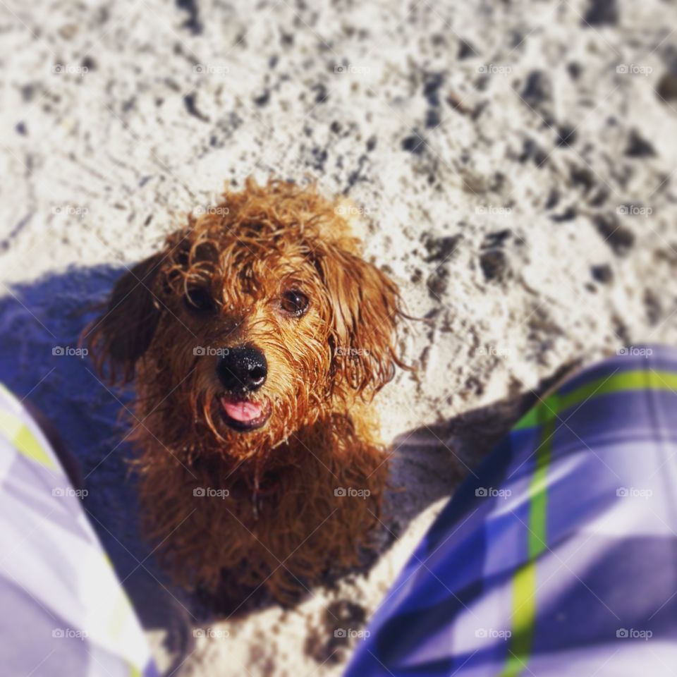 That look you get when she tells she's had a great time at the beach...