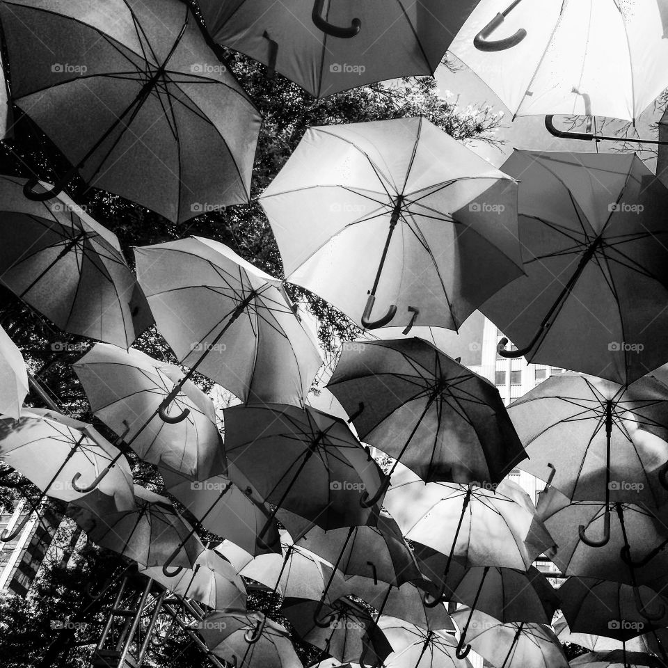 Black and white contrasted umbrellas. 
