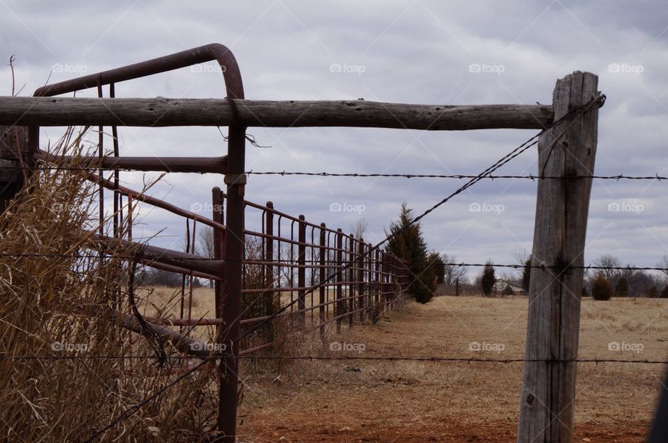 Iron gate