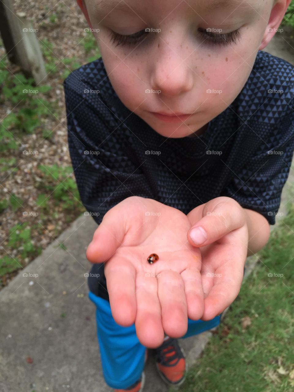 Boy holding ladybug