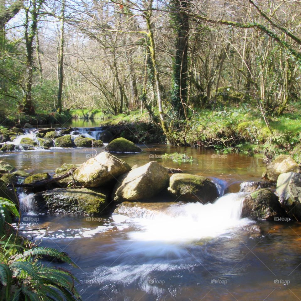 River Bovey, Dartmoor