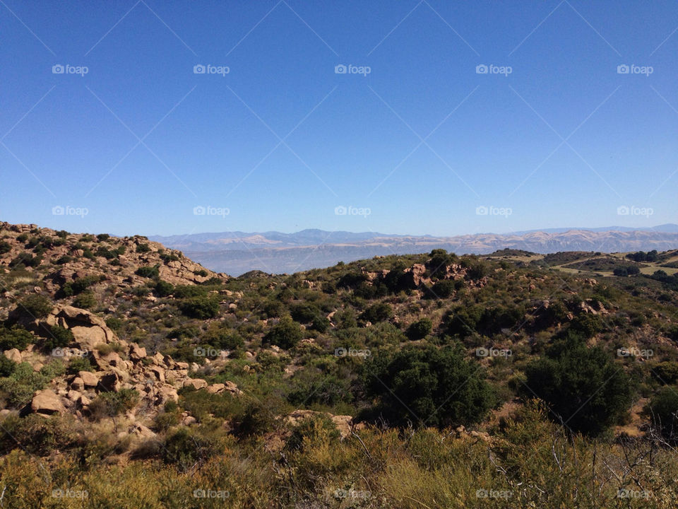 flowers mountain california scenic by illusionfactory