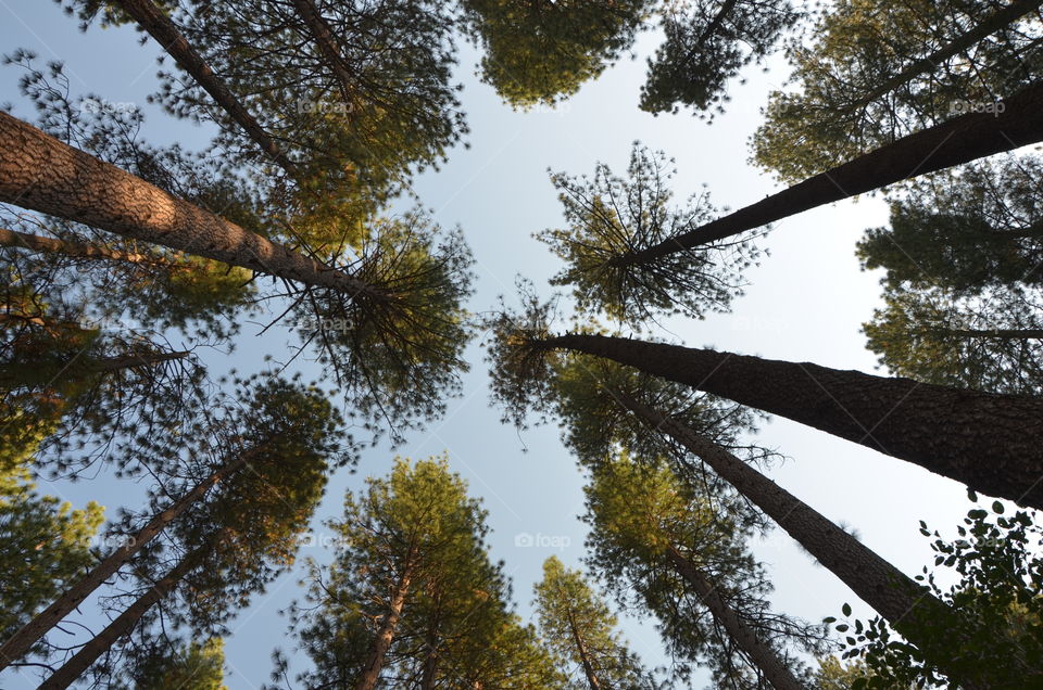 Exploring Yosemite national park