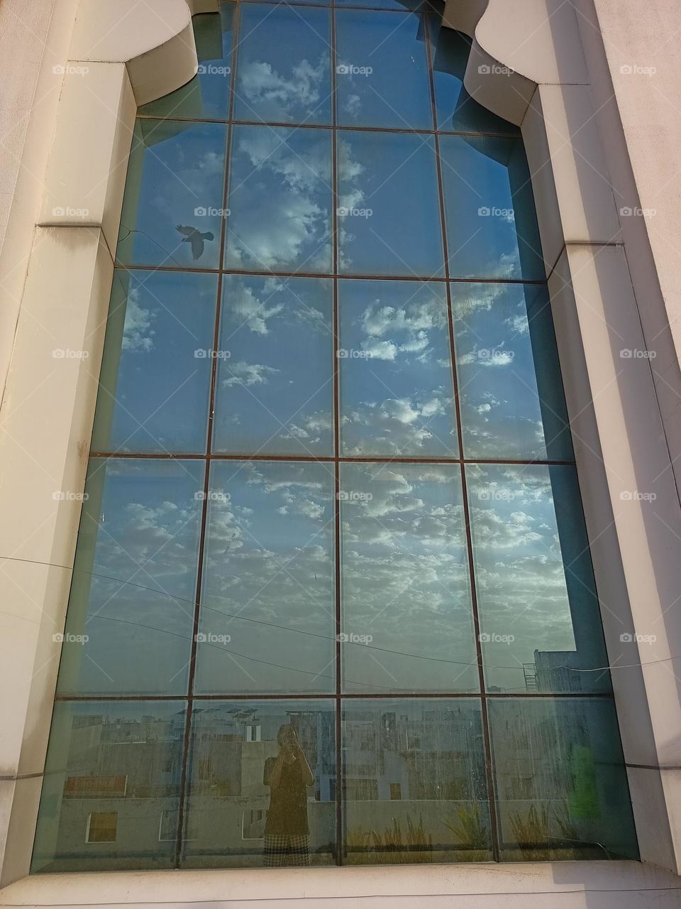 The morning turned out to be cloudy, so i decide to use the mirror of our building and somehow timing was perfect enough to capture the flying bird on mirror