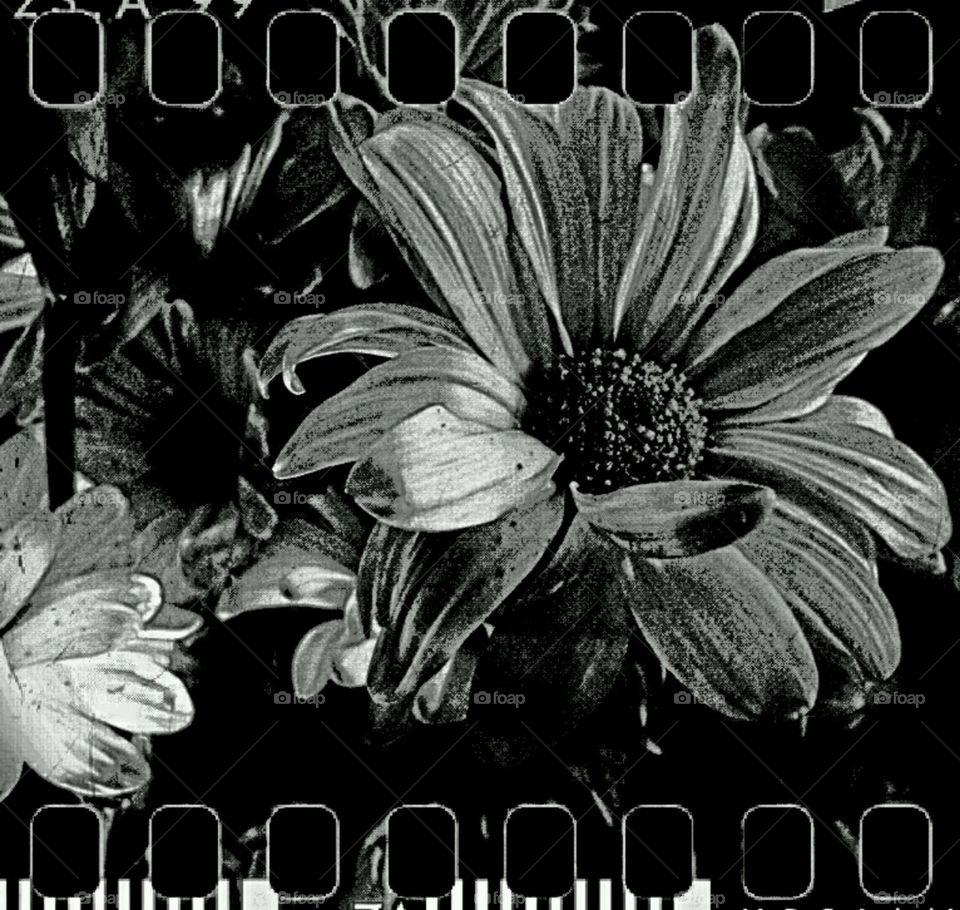 mixed emotions. lighting effects on b+w