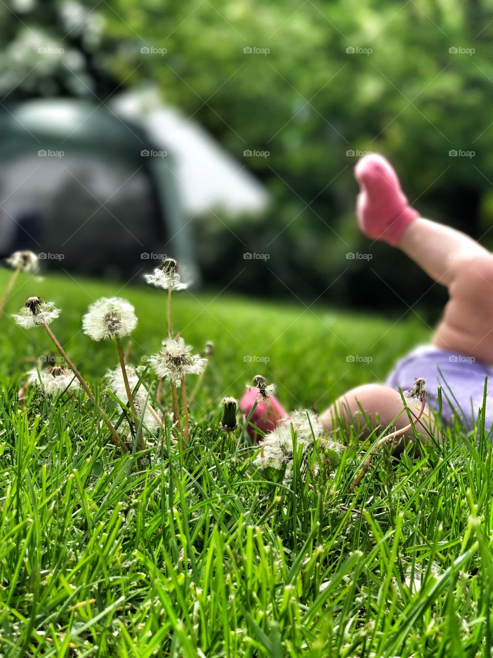 Baby in grass