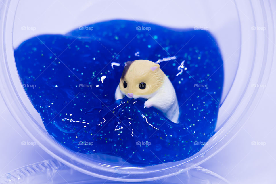 Miniature hamster is playing the water and fun in clear blue slime