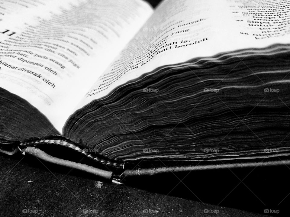 Reading the holy book