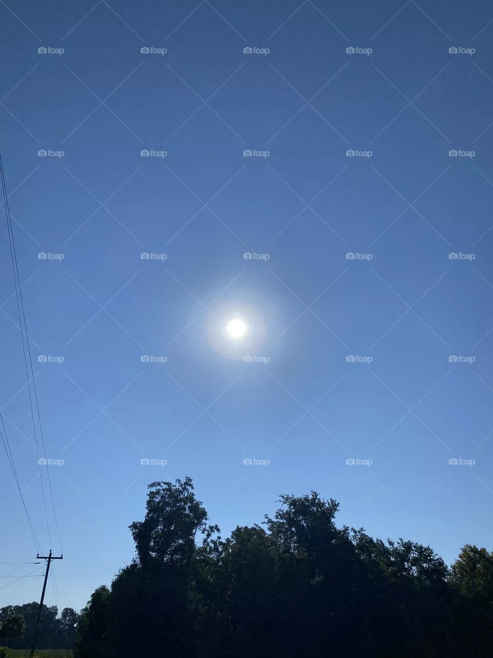 Beautiful sunshine 
