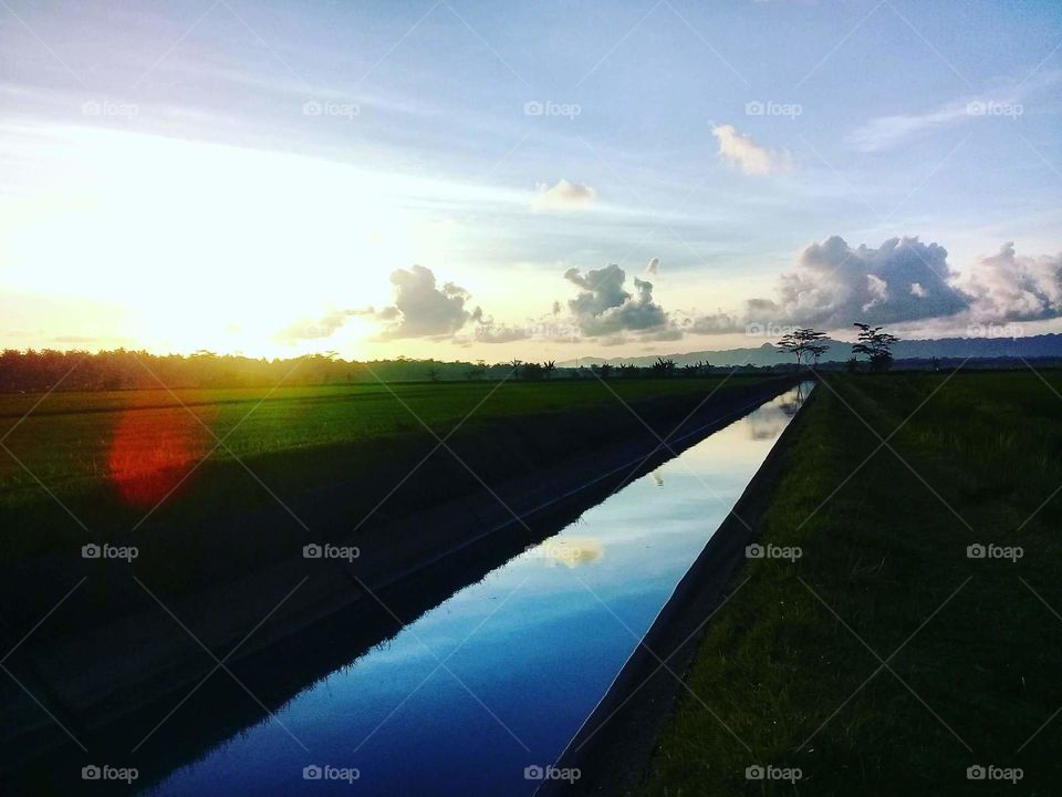 a sunset in the rice paddy and irrigation placed in small village in central java Indonesia. beautiful sunset. take it at 5 pm that time