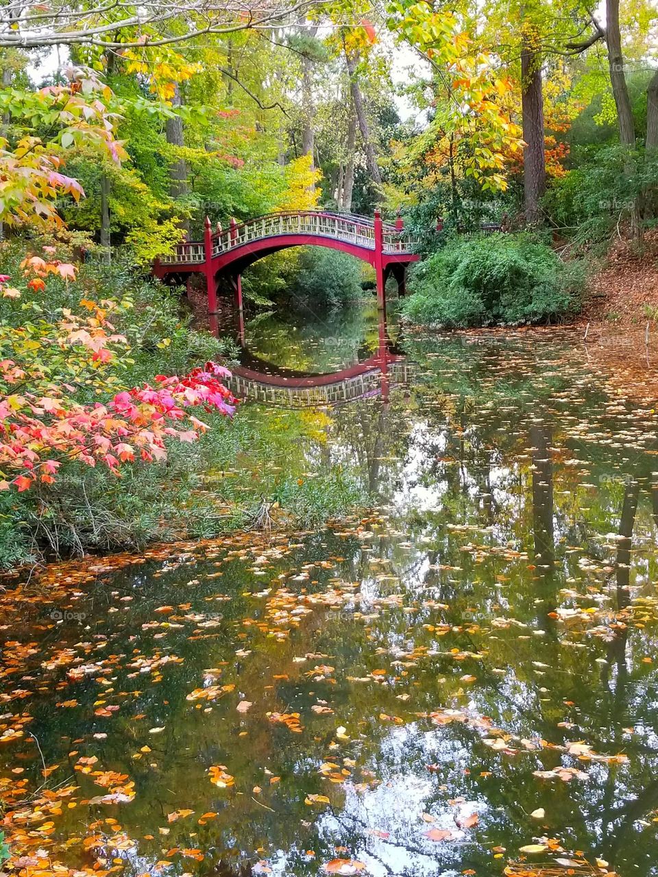 most photographed Bridge