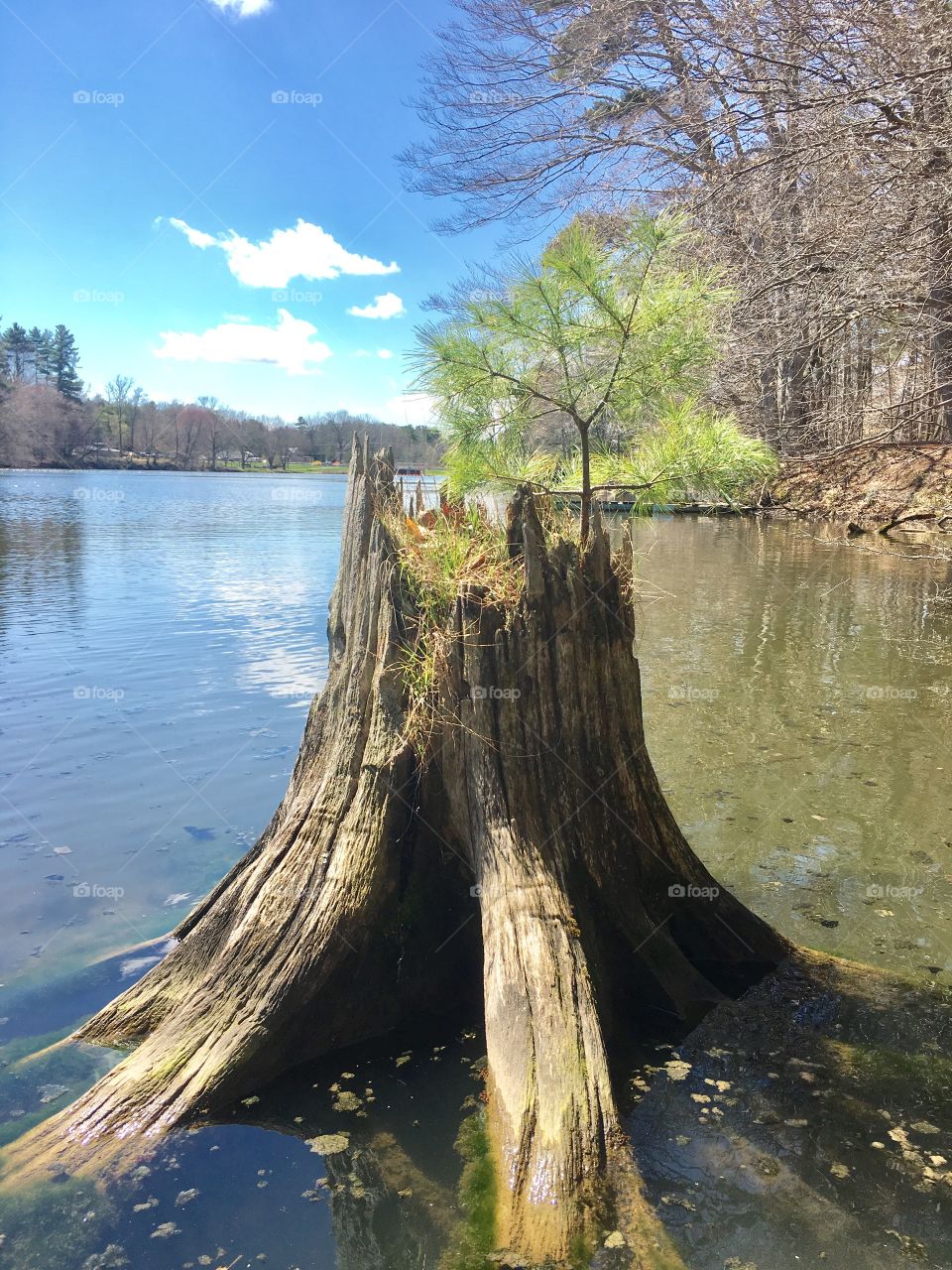 Perfect imperfection 