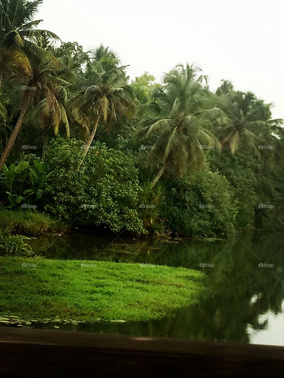 Kerala The God's Own Country