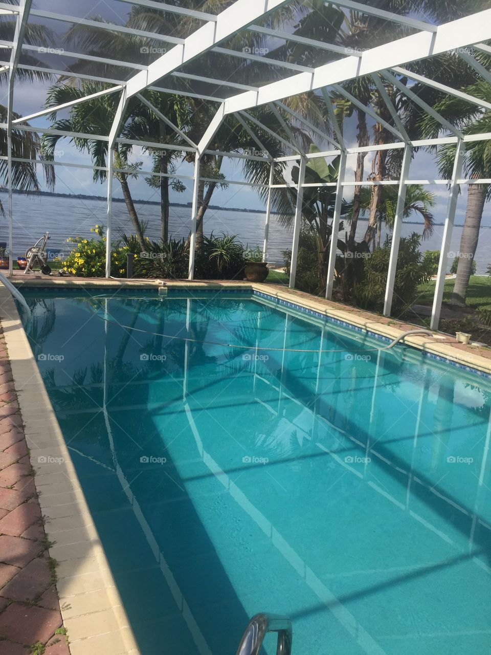 Time for a morning swim