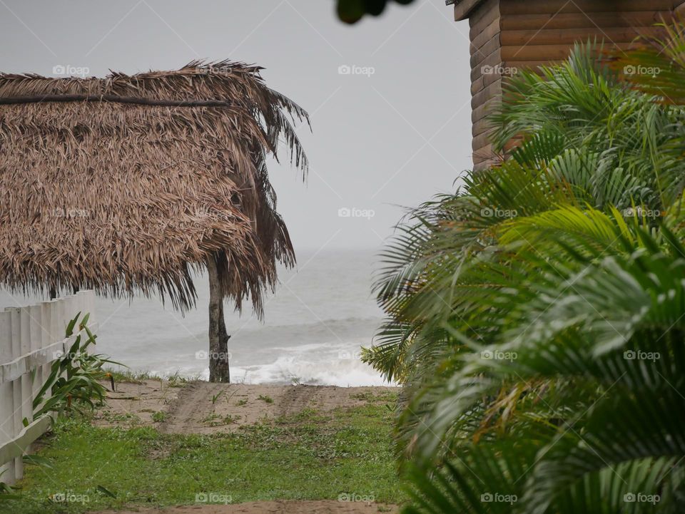 Entering the see shore