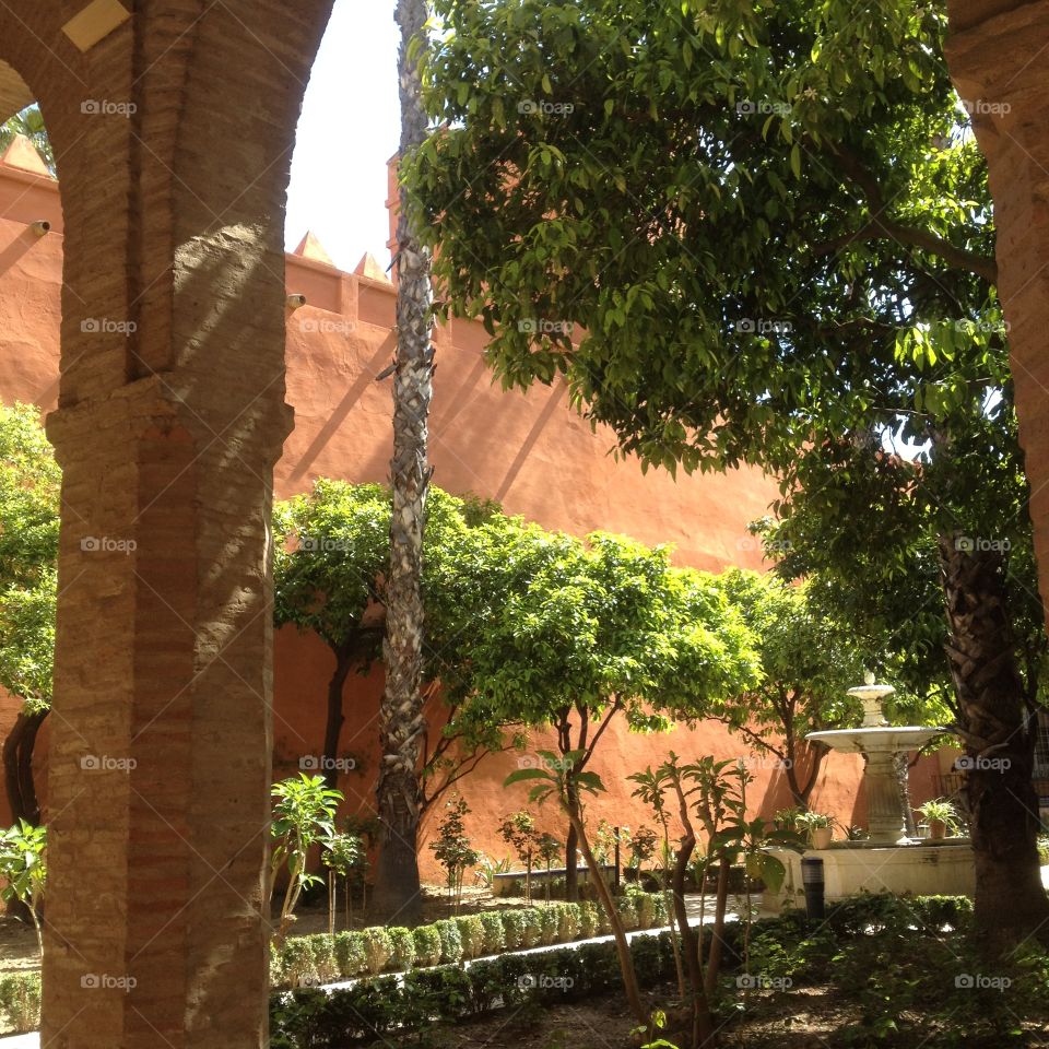 An Andalucian Patio