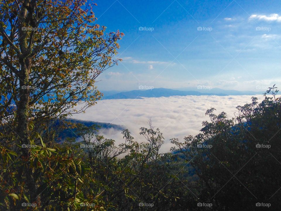 Above the clouds - Great Smoky Mountains National Park