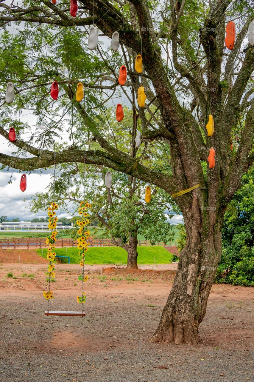 Árvore com balanço