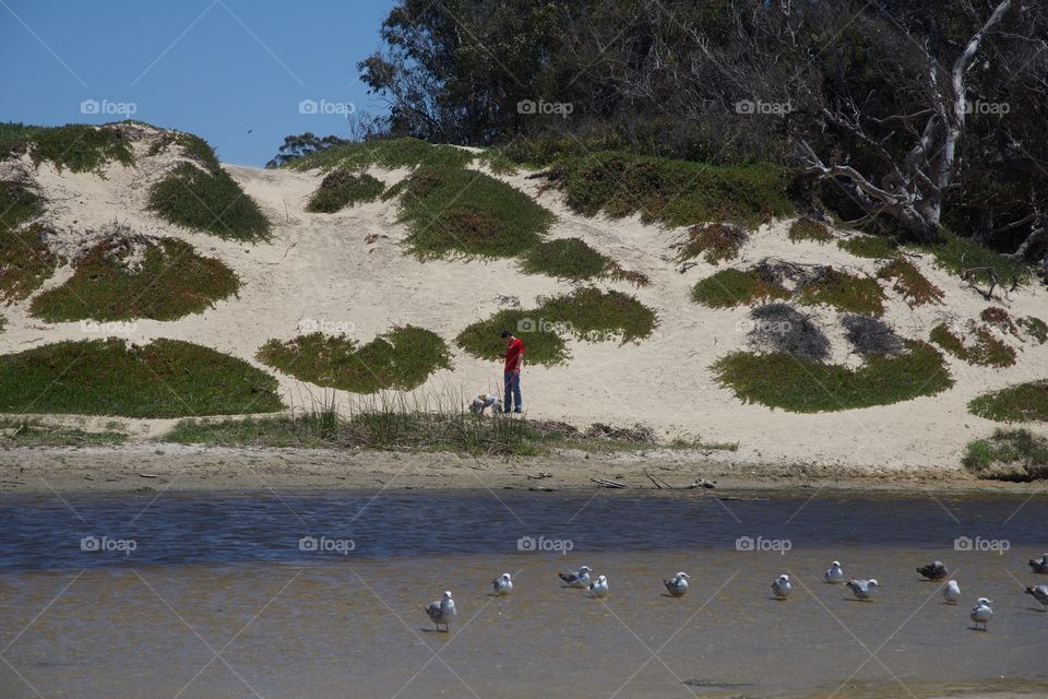 Walking the dog on a beach