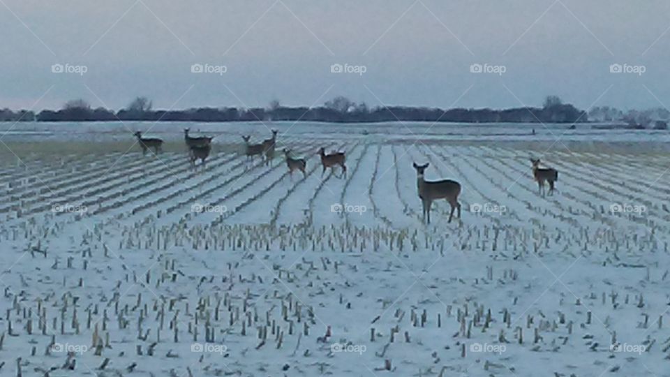 Water, No Person, Outdoors, Nature, Agriculture