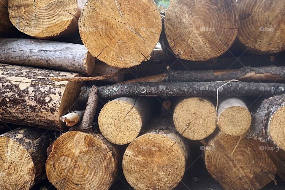 Logs and more logs