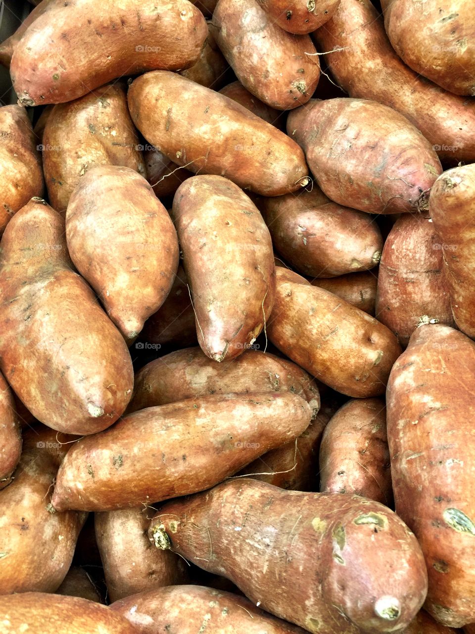 High angle view of sweet potatos