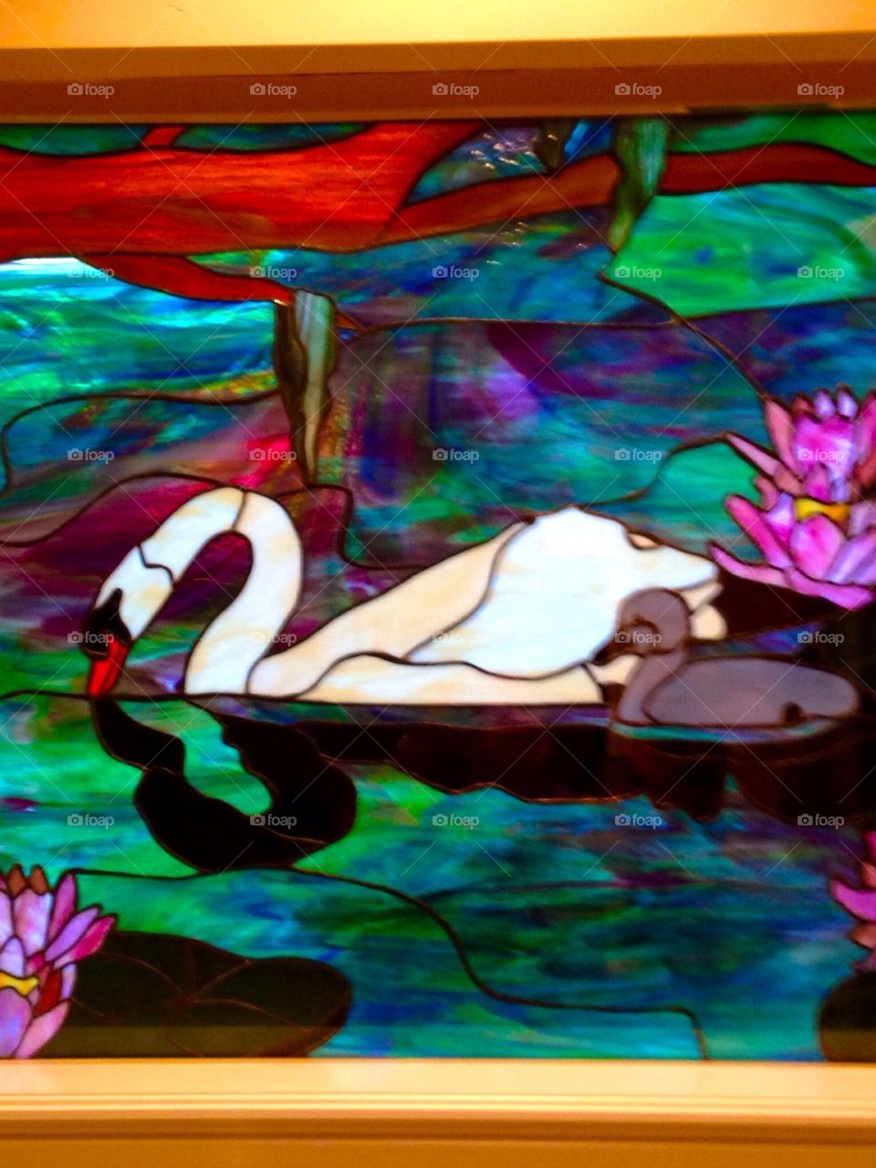 Stained Glass Swan