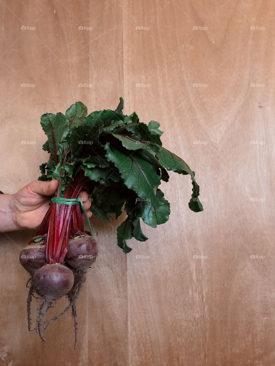 Hand holding beetroot 