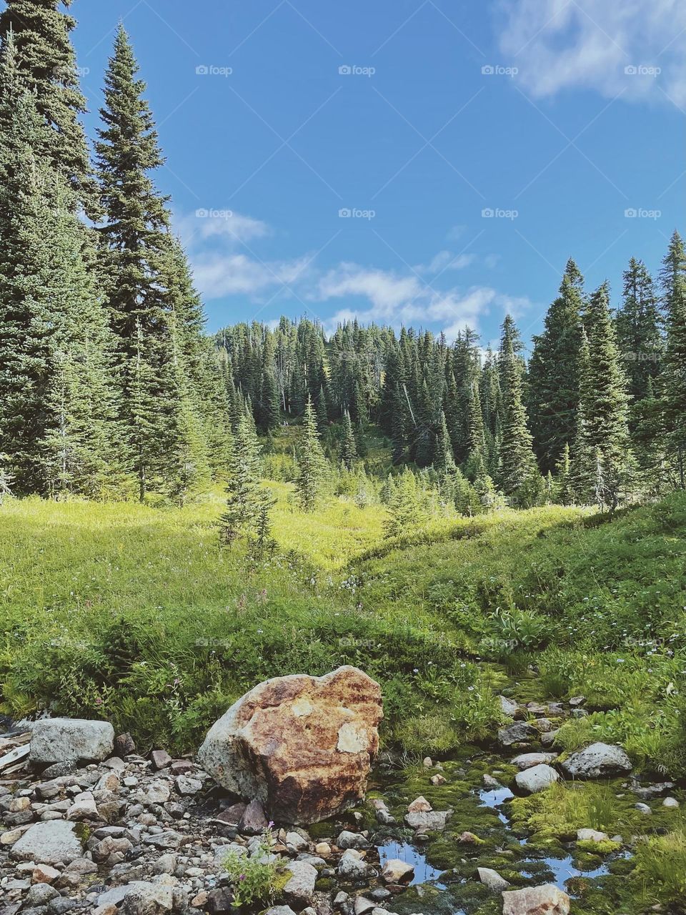 Hike in Mount rainier National park, Washington state