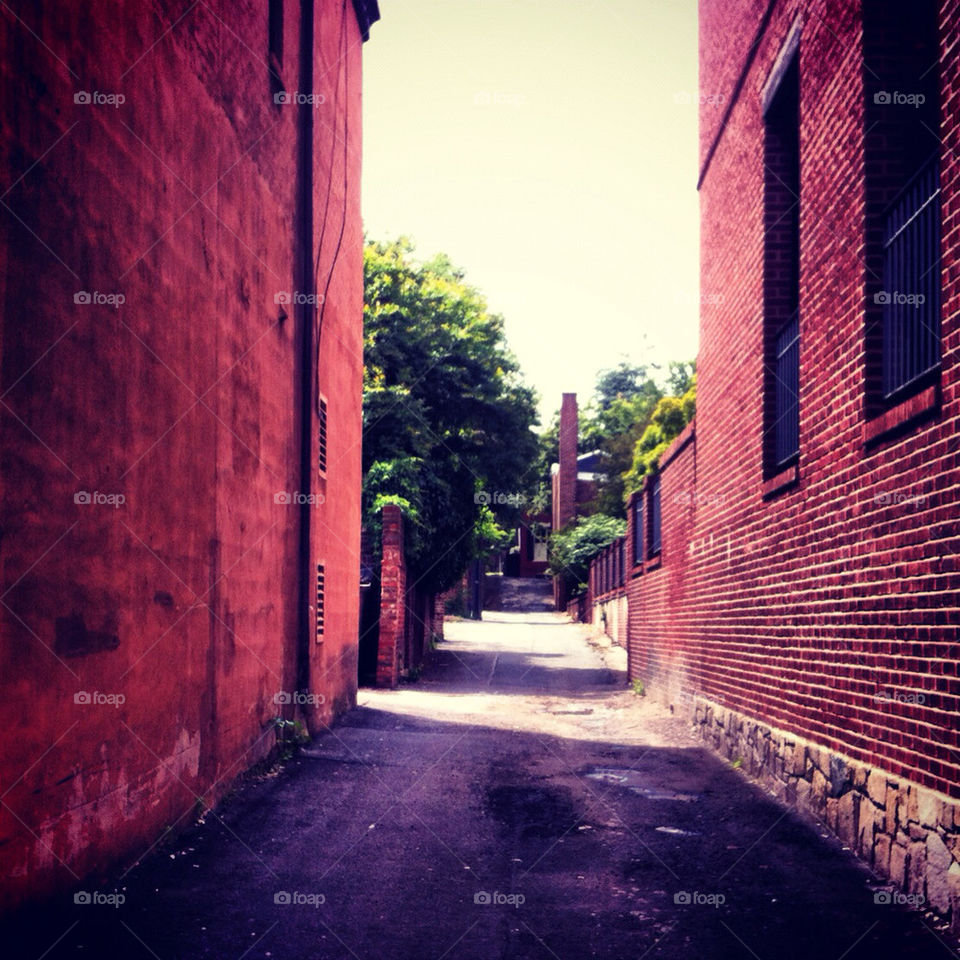 brick in an alley