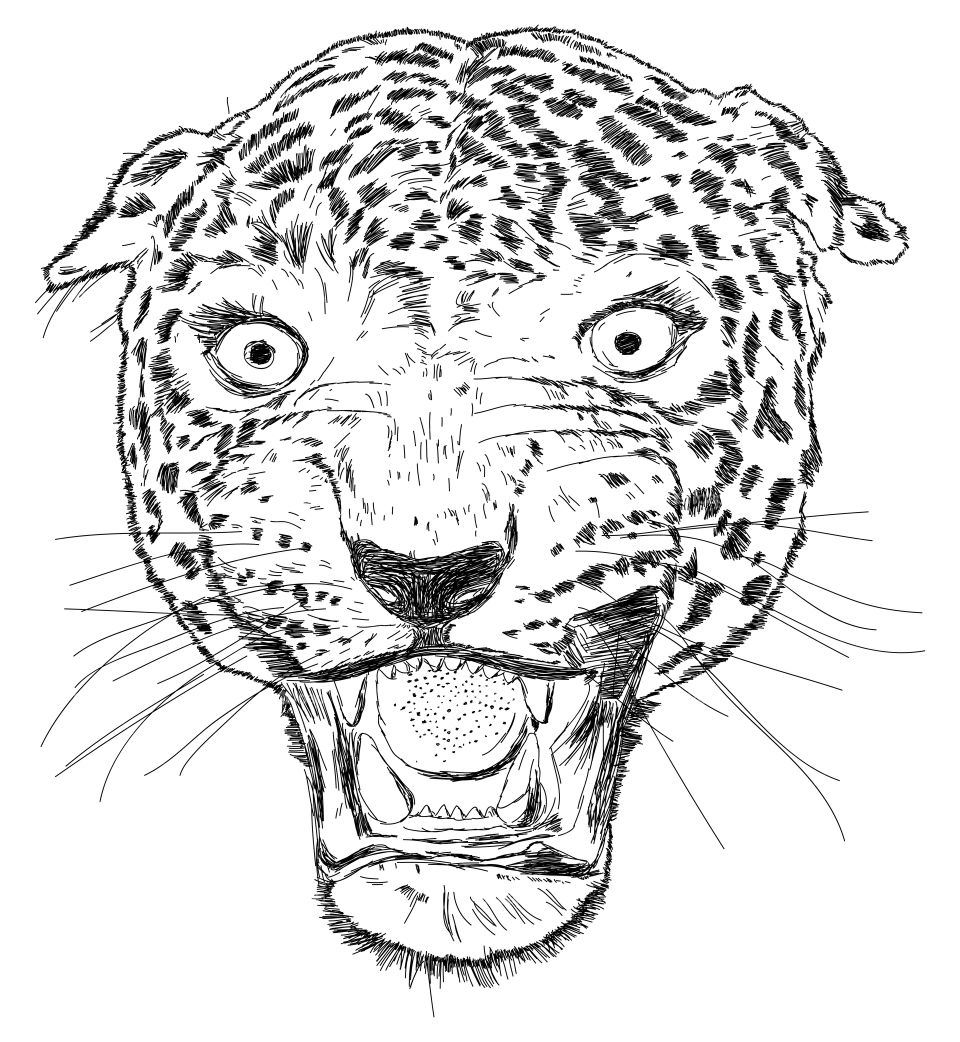 Leopard face illustration