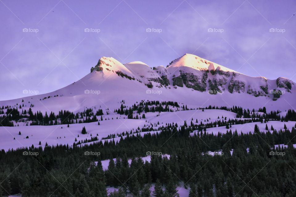 A purple alpenglow sunrise over snowy peaks in the San Juan Mountains in spring. 