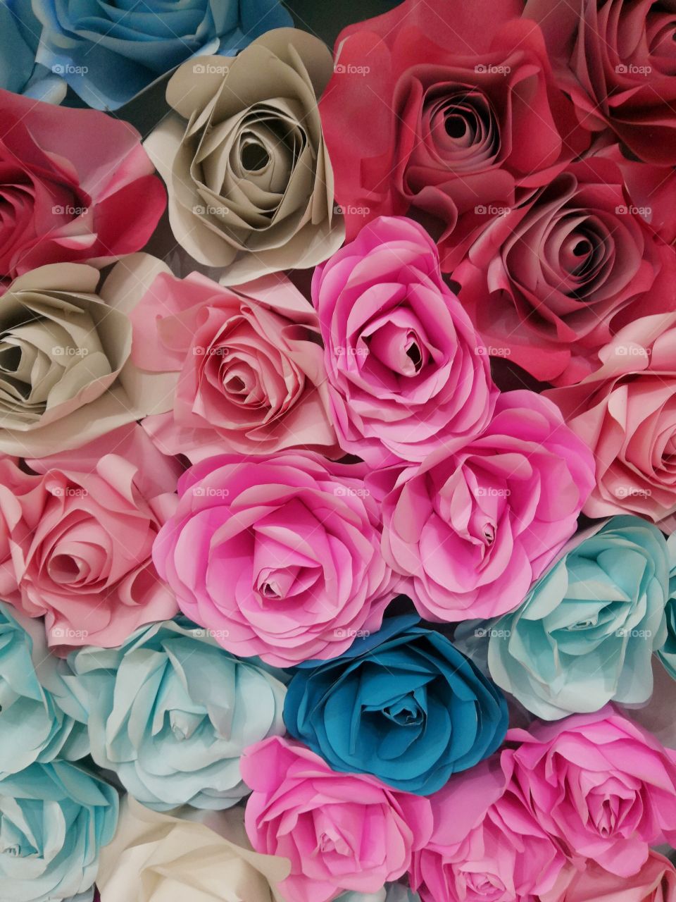 Background photos  Paper roses​ color