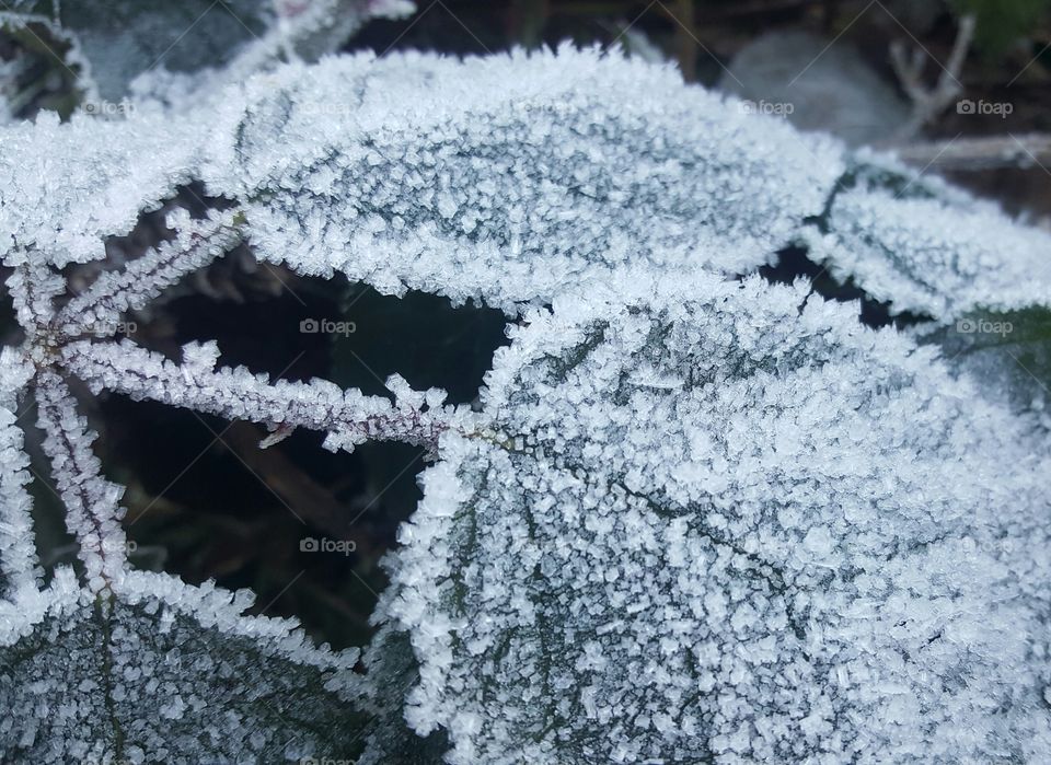 Mother Nature Frozen