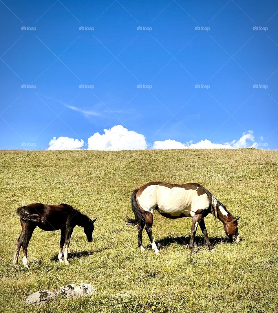 Val d’Isère , Août 2023 . 