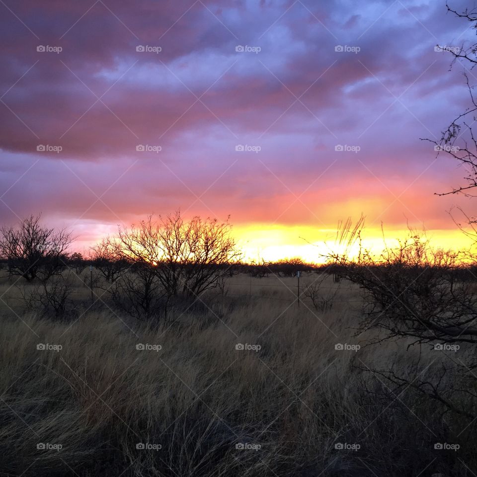 Nature Sunset Silhouette 