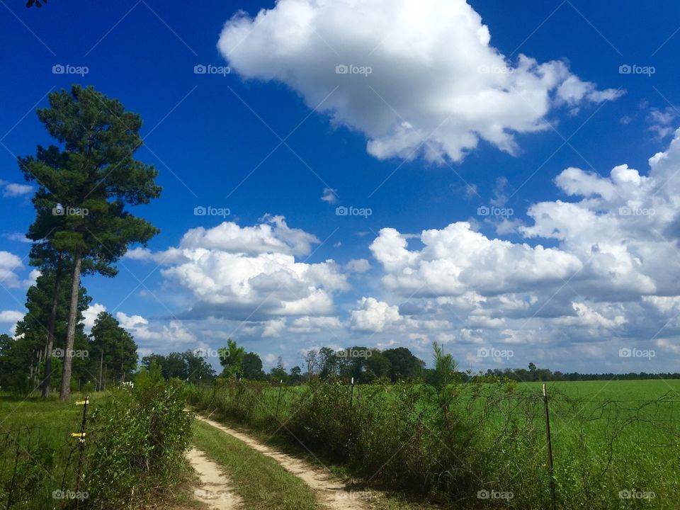 Green fields and blue skies