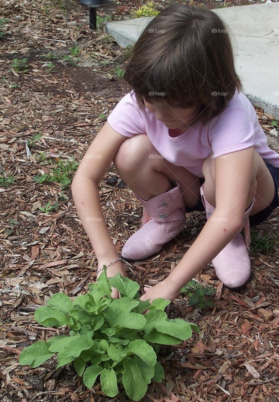 Girl in pink cowboy boots tending to her radish plant