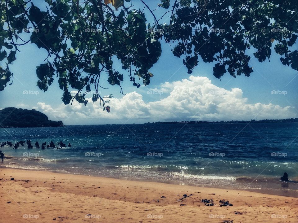 Jungle Beach Sri lanka