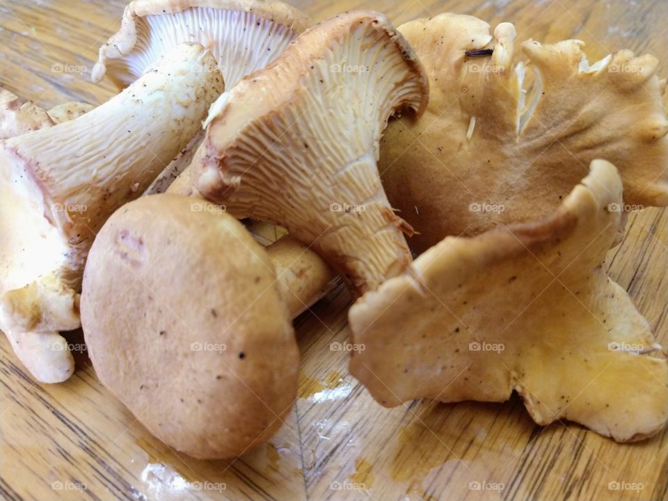 chantral mushrooms