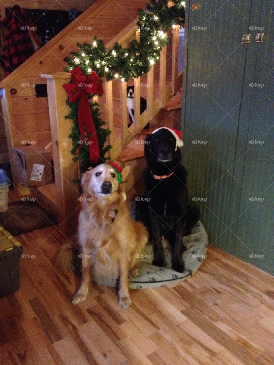 My boys handsome as can be