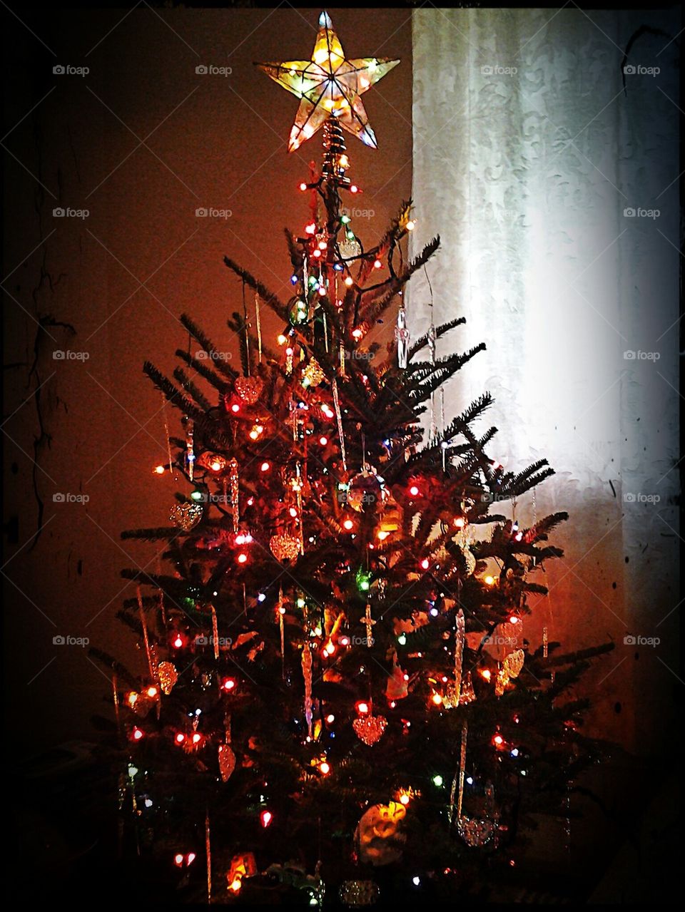 Christmas Tree!  
