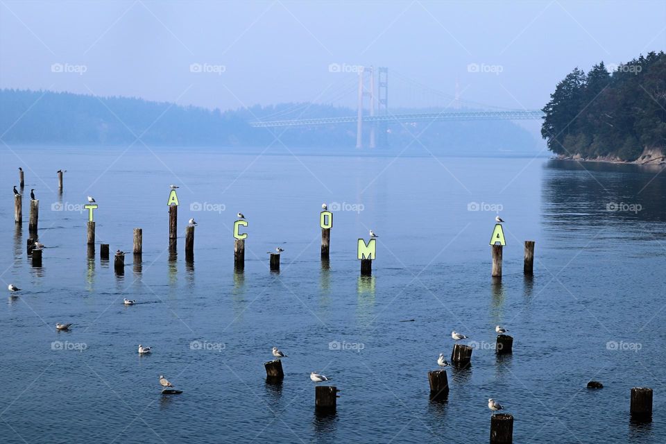 Tourist spots in the city