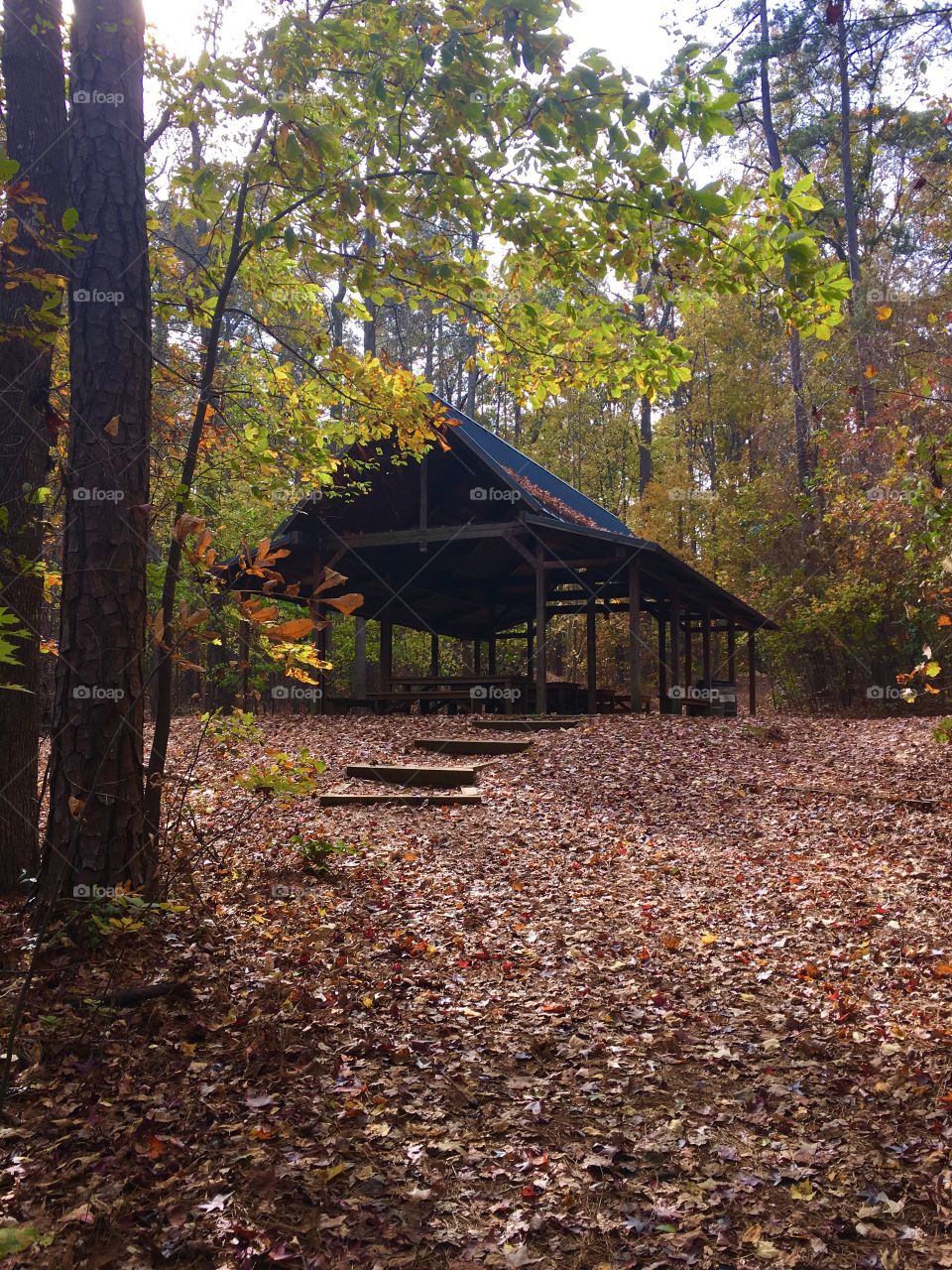 Yates Mill Historic Park, the outdoor classroom 