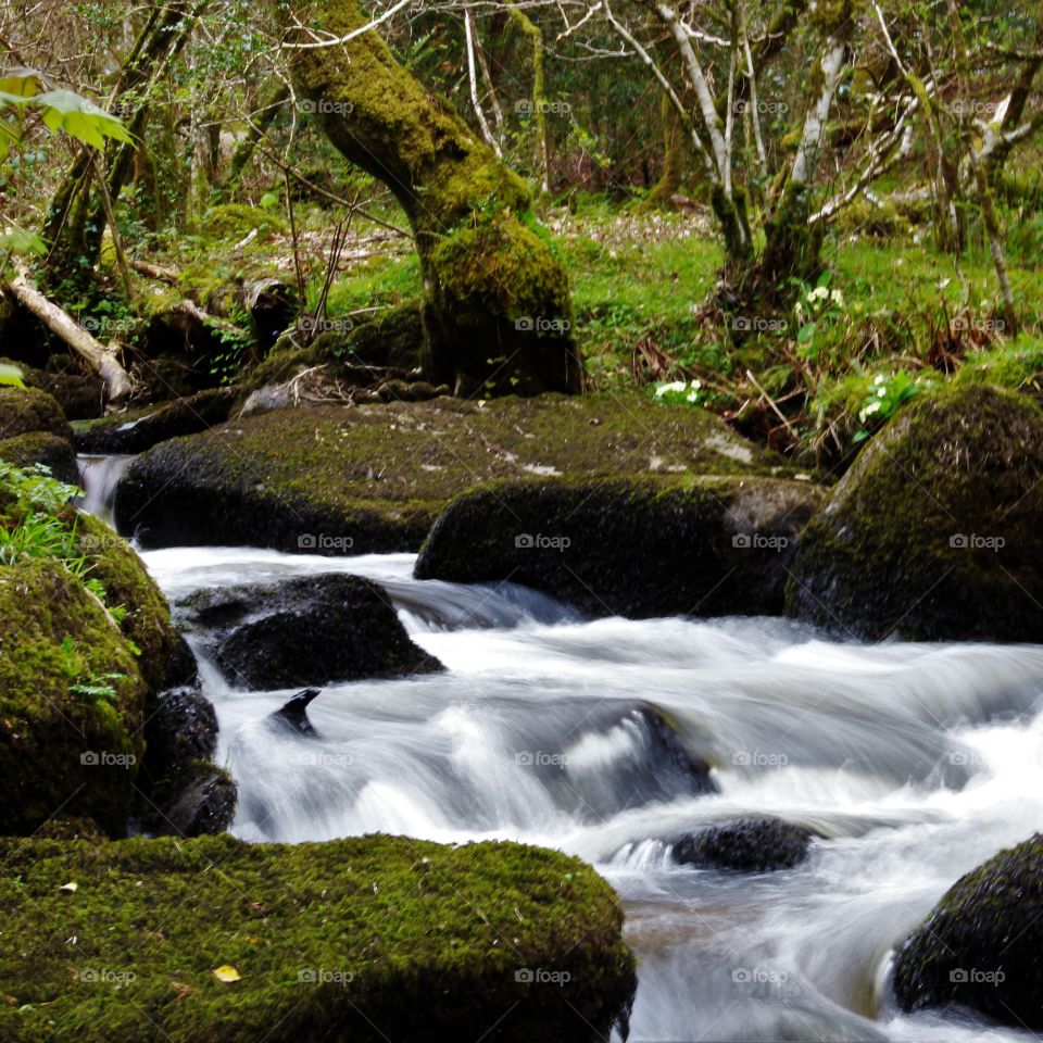 Water, Waterfall, Stream, River, Moss