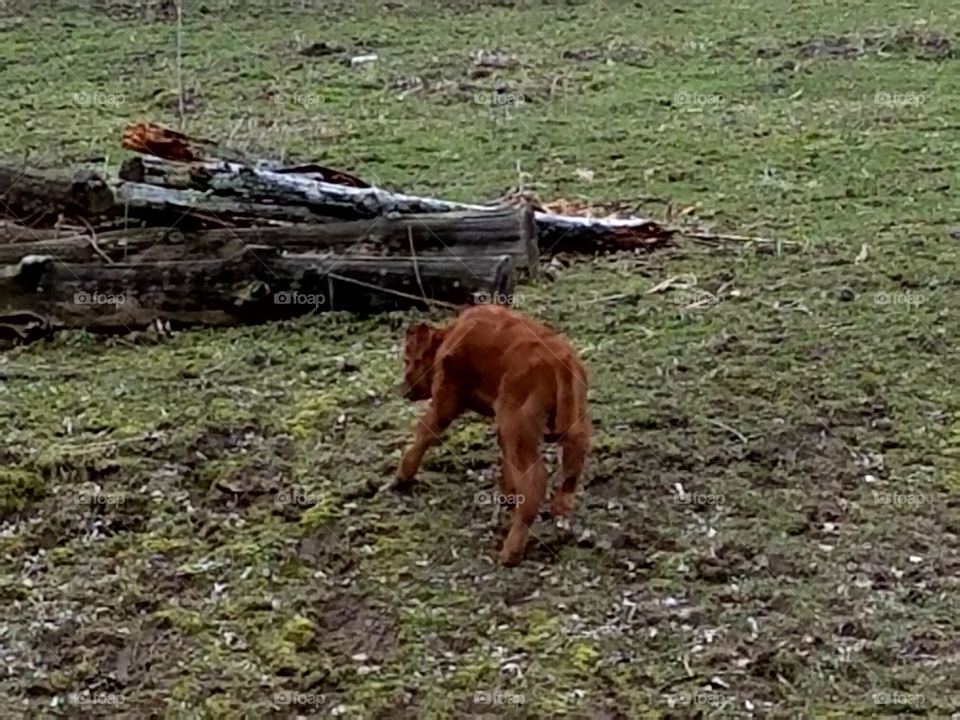 Driving the back Roads, Enjoying Nature