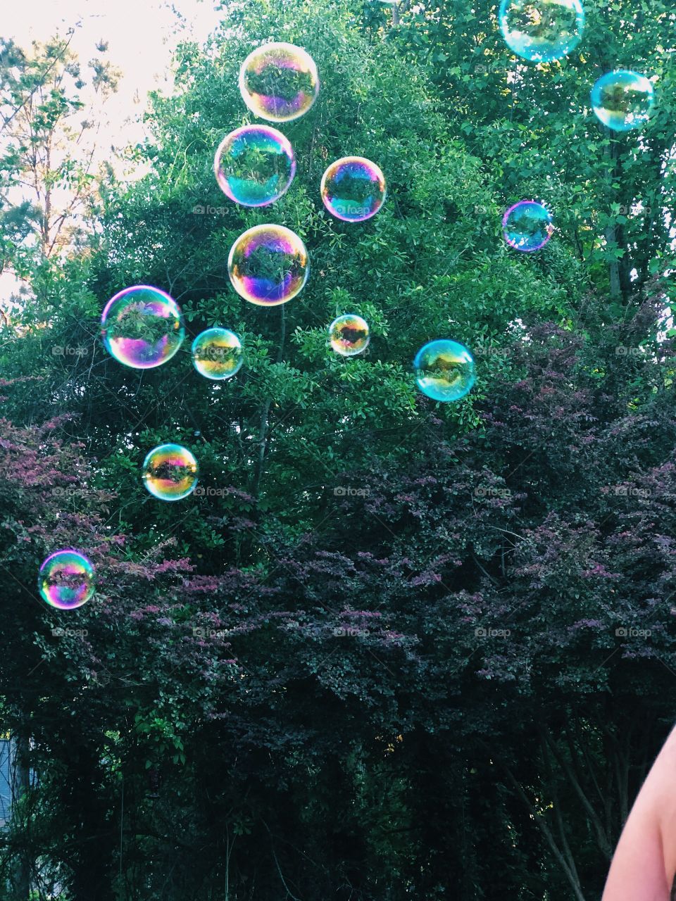 Bubbles