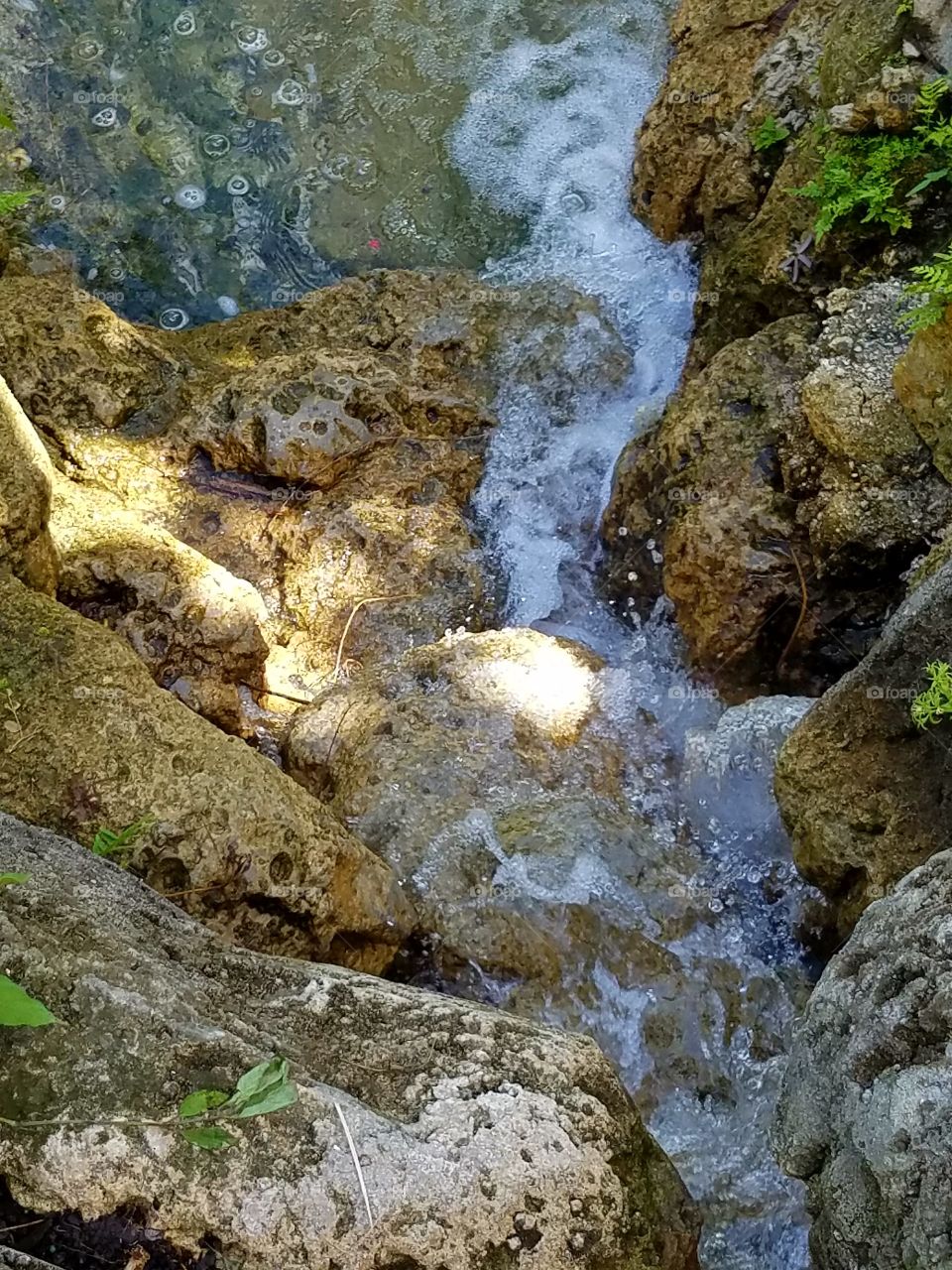 Small Waterfall on Mossy Rocks