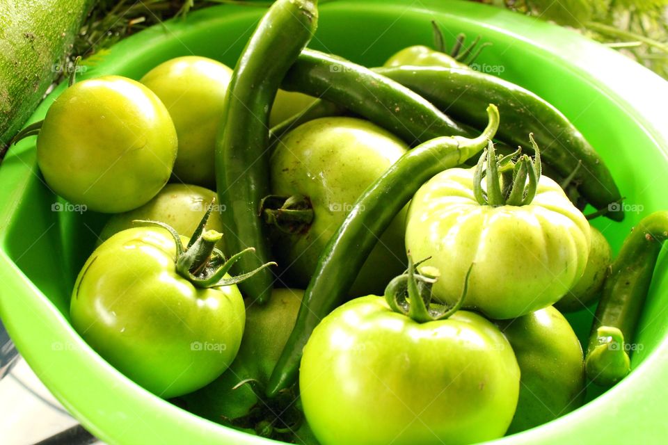 Green tomatoes 