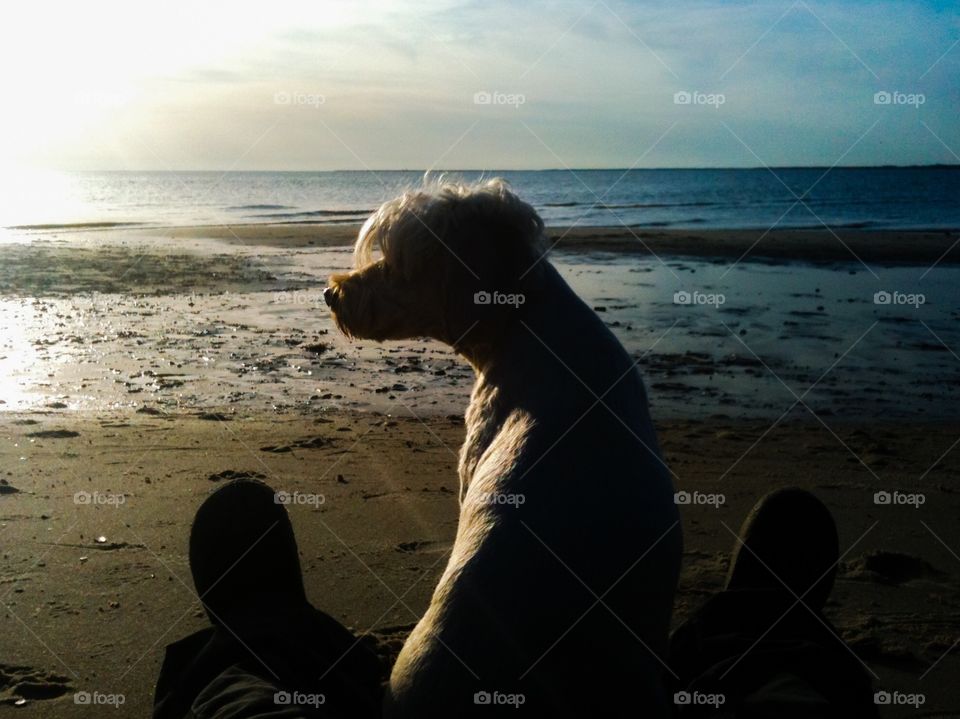 A girl and her dog, an old but favorite photo. East Point, New Jersey. 